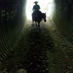 Meet your Posher, Waylon